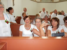 Uitvoering 2015 Schagen Bruiloft (38).jpg